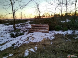 В заповеднике Запорожской области вырубают лес