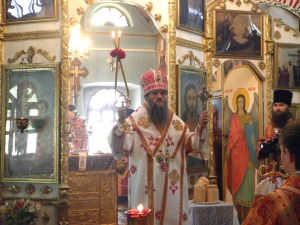 Архієпископ Запорізький і Мелітопольський Лука провів архієрейську службу у Михайлівці